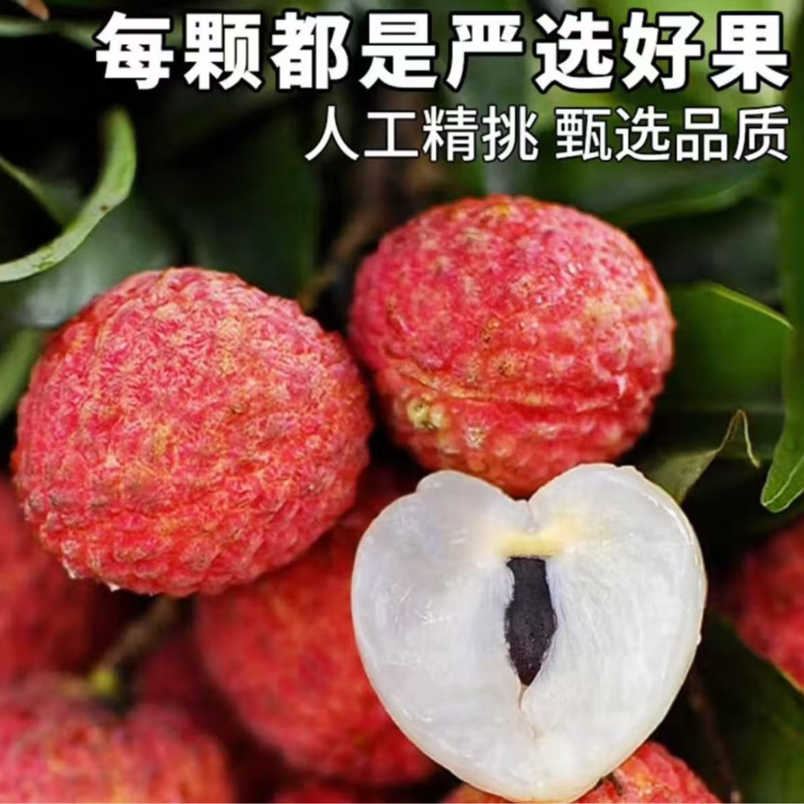 广东增城糯米糍荔枝【JD/顺丰-多地次日达】新鲜荔枝水果送礼荔枝同城送广东省
