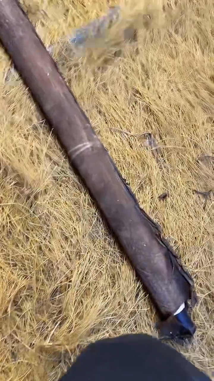 手串滴血莲花菩提所见即所得