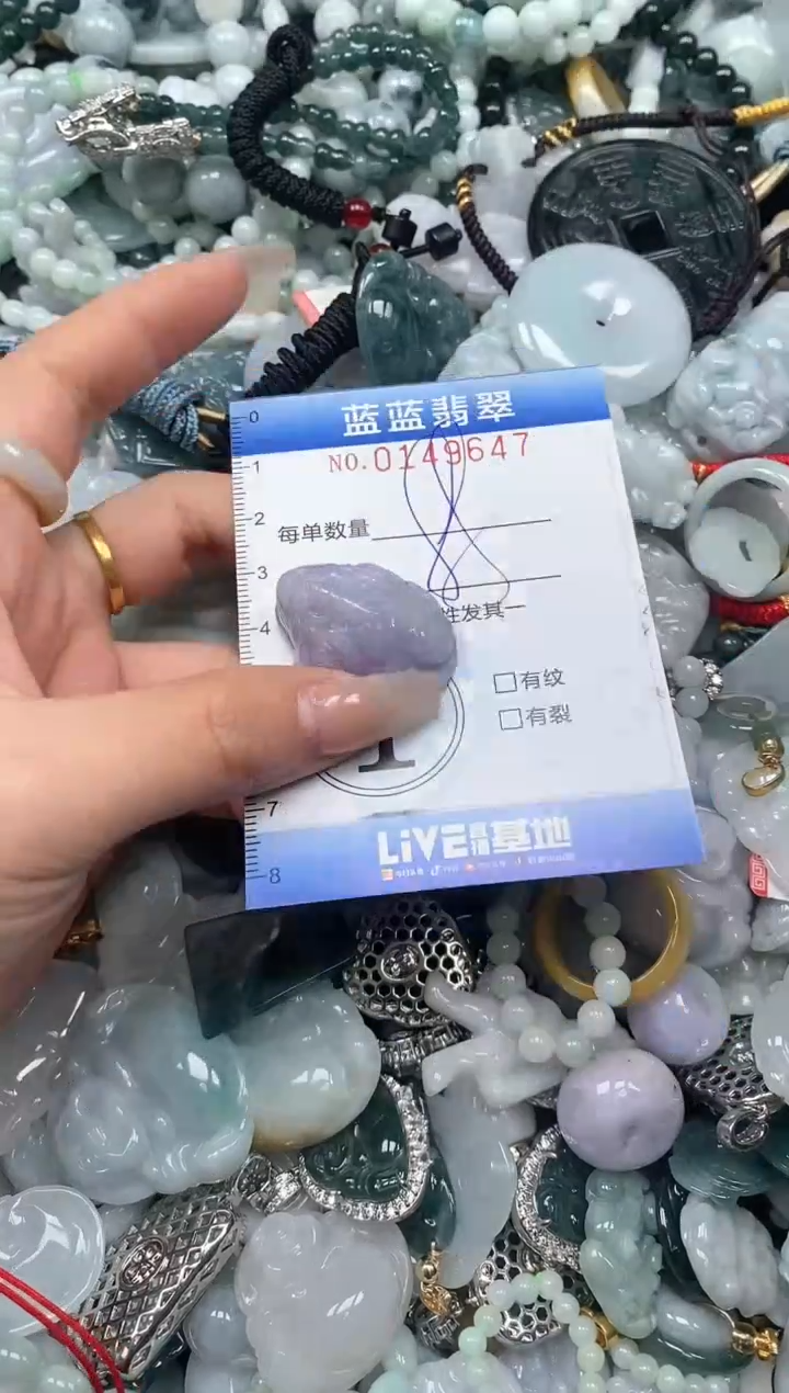 【闪购商品】翡翠颈饰未镶嵌闪购0149647