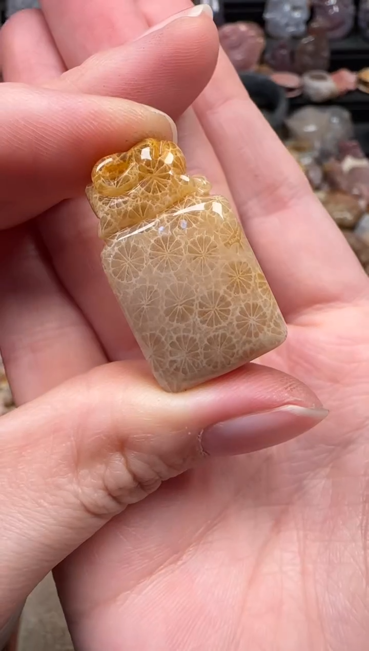 颈饰未镶嵌硅化珊瑚（珊瑚玉）170