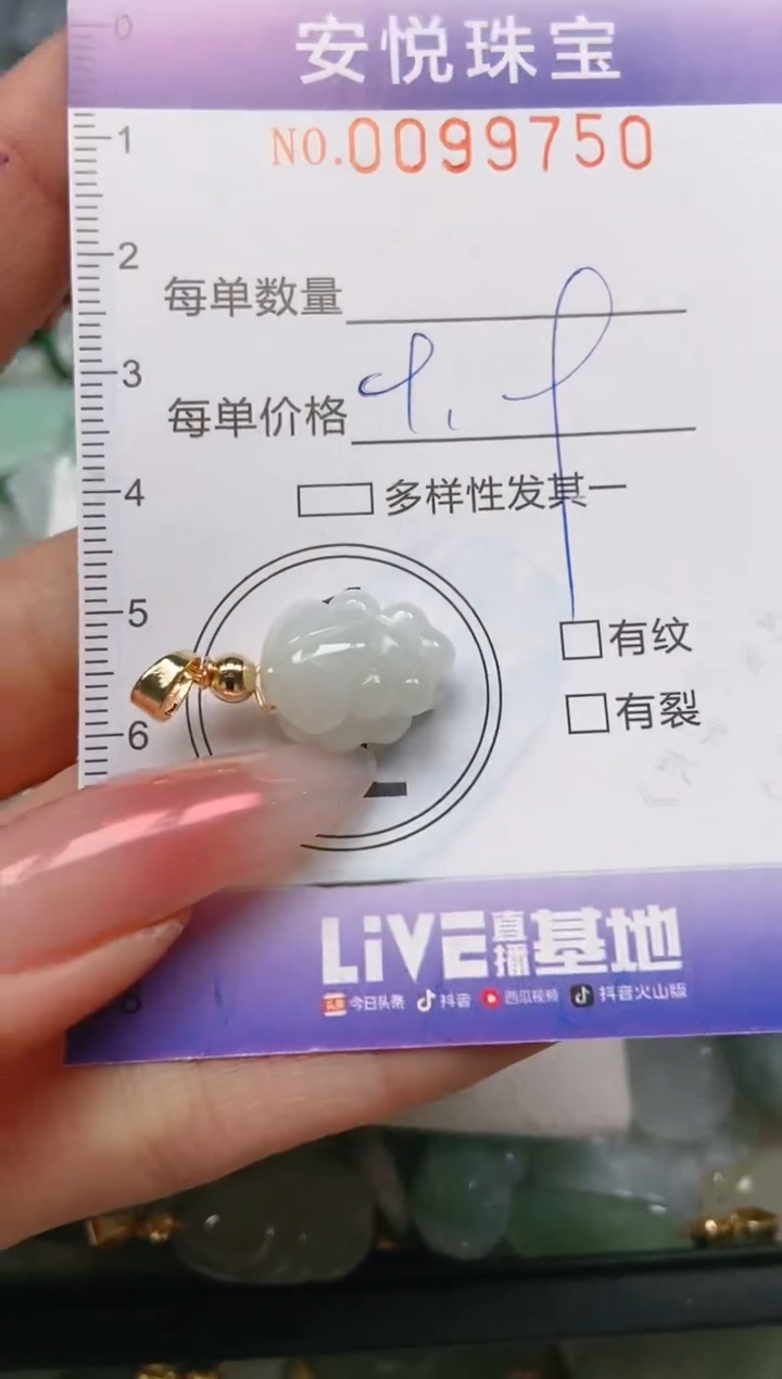 【闪购商品】翡翠颈饰未镶嵌闪购0099750