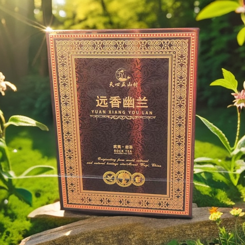 交个朋友丨远香幽兰小（素心兰）