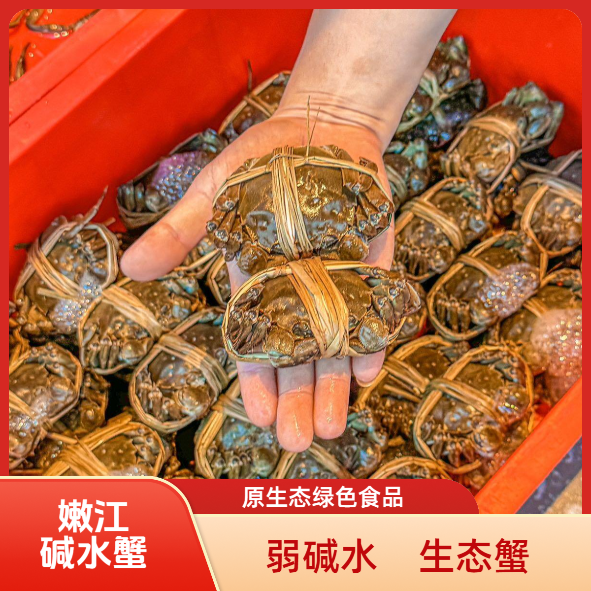 大白粉丝品鉴专享【活蟹】母蟹1两25只嫩江碱水蟹