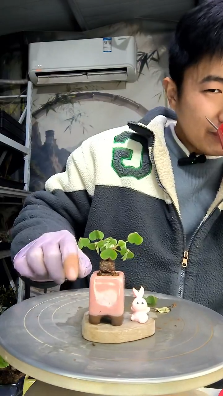 笑***…中青园艺一物一拍花125