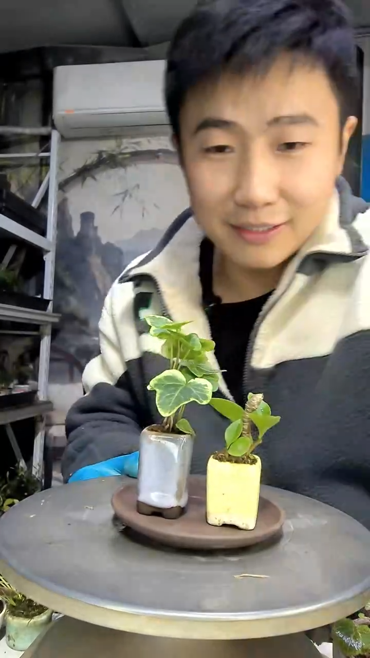 1****睫中青园艺一物一拍花79