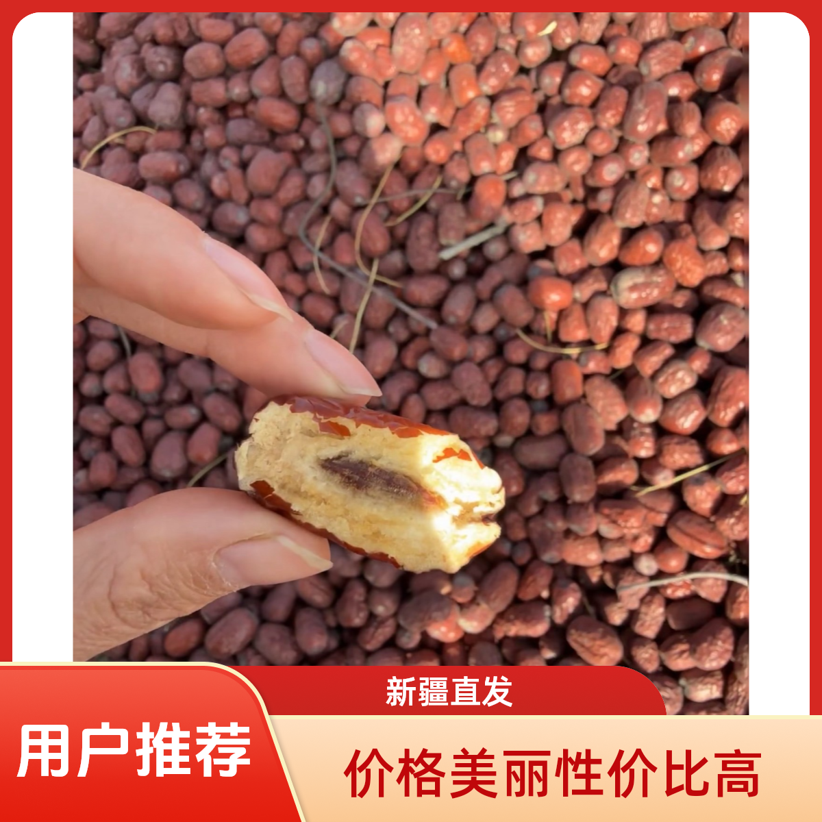 【新疆直发】麦盖提灰枣无加工无清洗