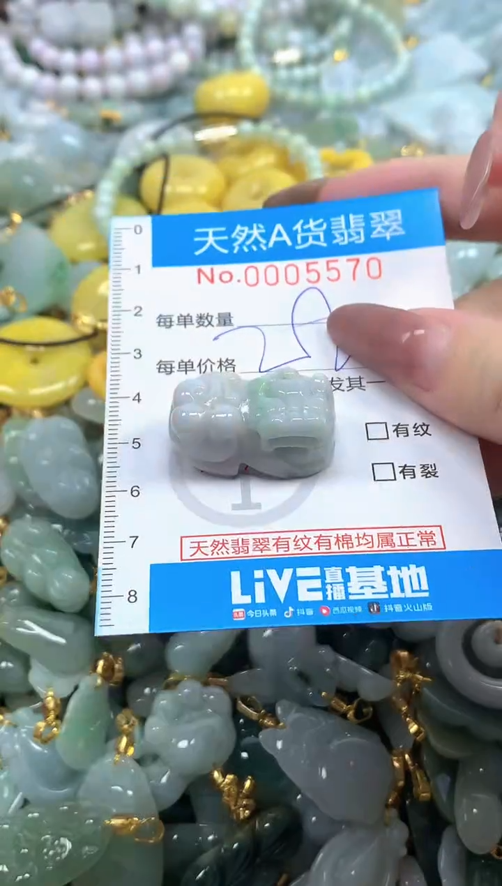 颈饰未镶嵌翡翠净货挂件-5570