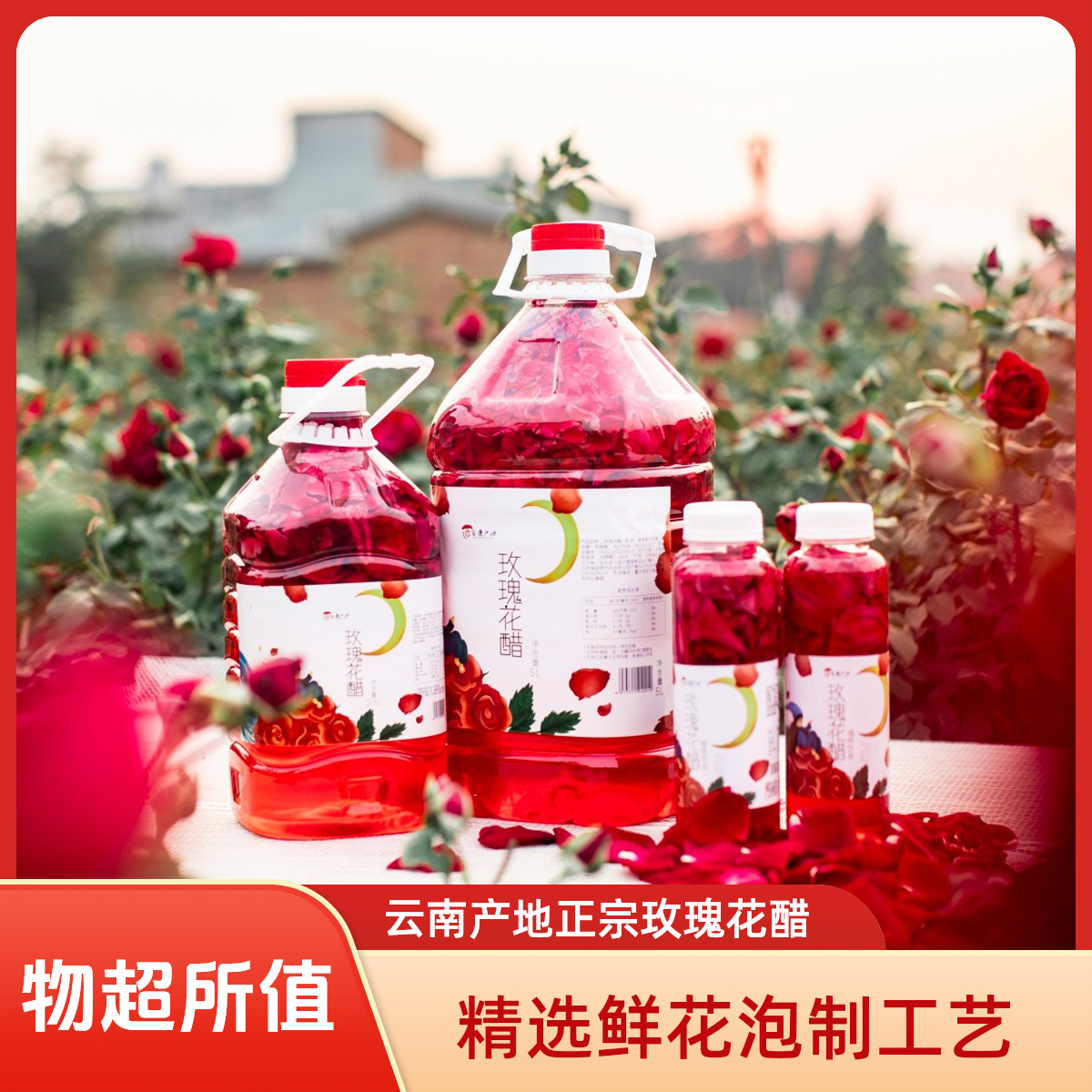 云南玫瑰花醋食用玫瑰花醋鲜花醋荞麦醋厂家直销泡玫瑰花饮料