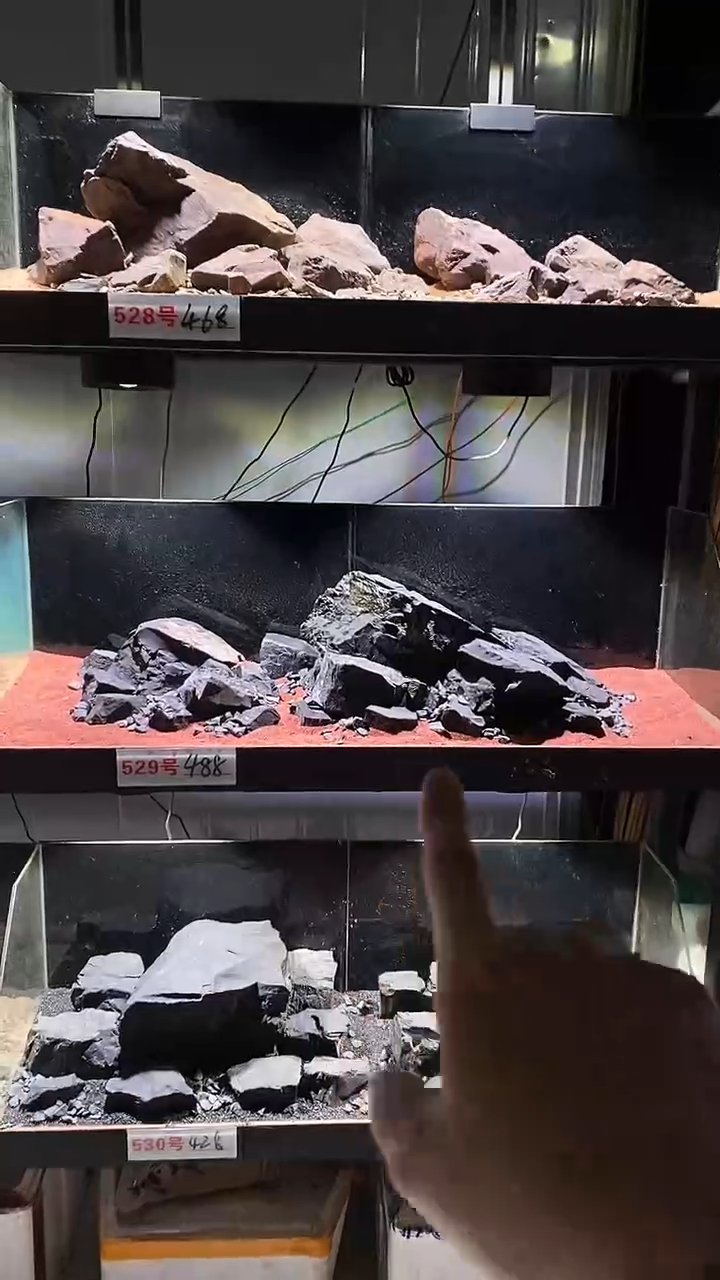 529号鱼缸造景（不含底砂）