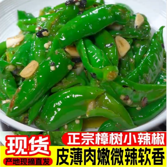 【特辣】正宗樟树辣椒新鲜现摘辣椒食用薄皮嫩青线椒农产生鲜AA