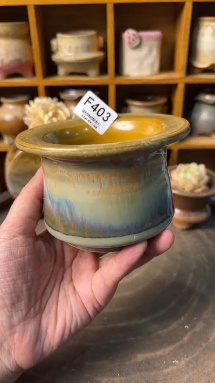 403 内口8【多肉花盆多肉盆】