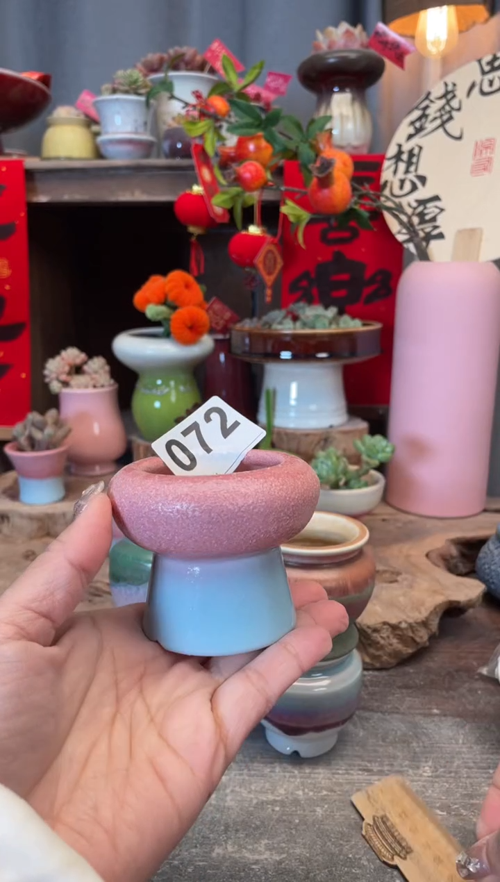 【闪购商品】摆件072知木小芳花盆