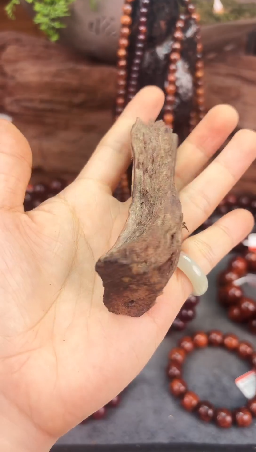 降真香海南红降花梨公原料随形手把件31g