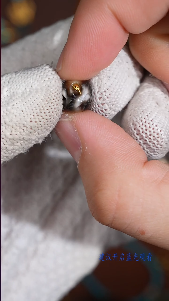 未镶嵌配饰玛瑙/玉髓玛瑙配饰一对（多样性发其一）