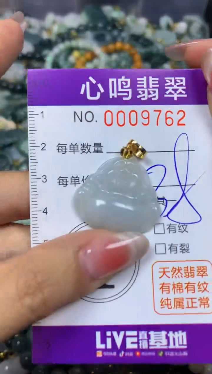 【闪购商品】翡翠颈饰未镶嵌闪购009762