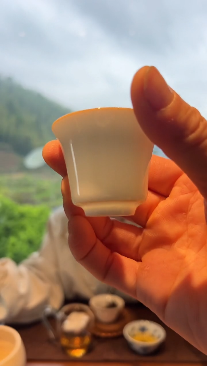 开门红30泡主人杯·····