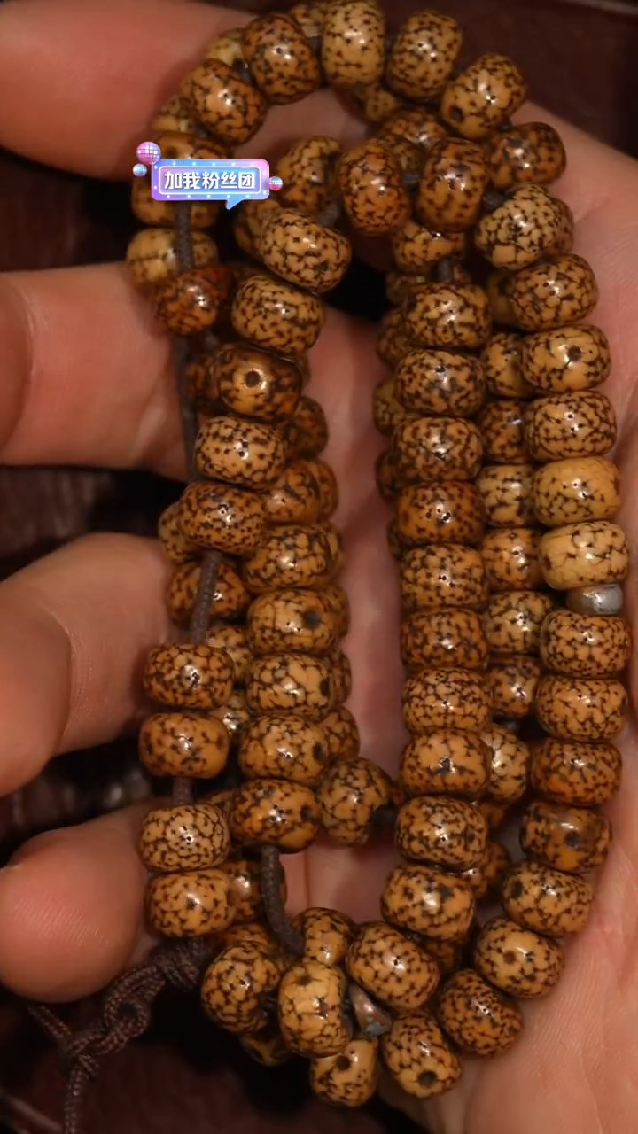 冲赛康胡子哥，藏传念珠273