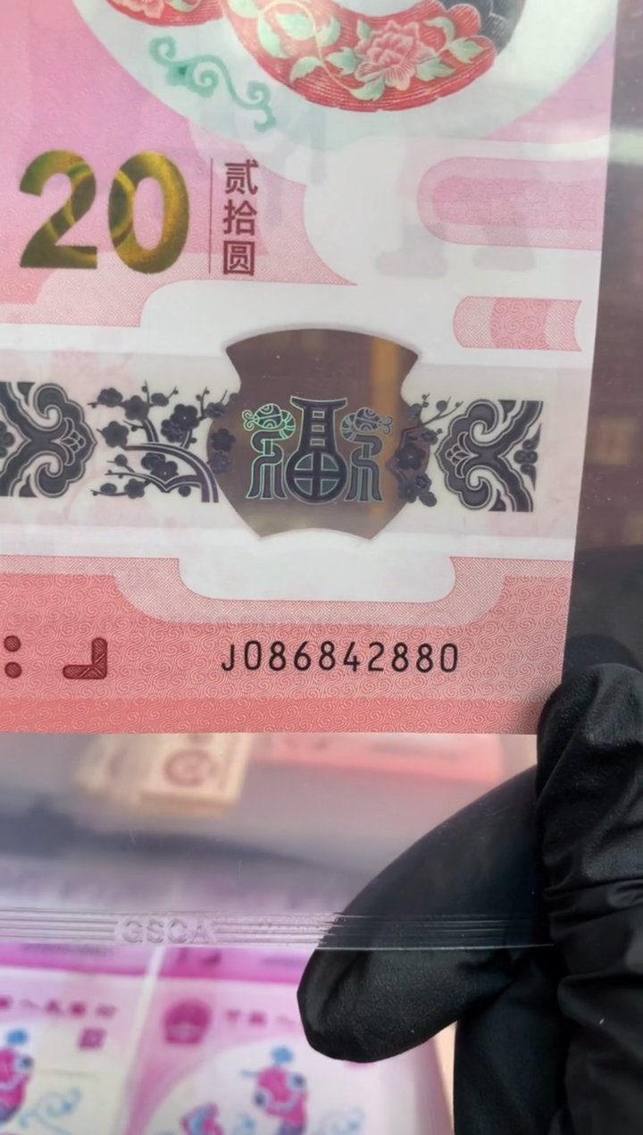 【闪购商品】塑料蛇钞 真钞 【单张】42880