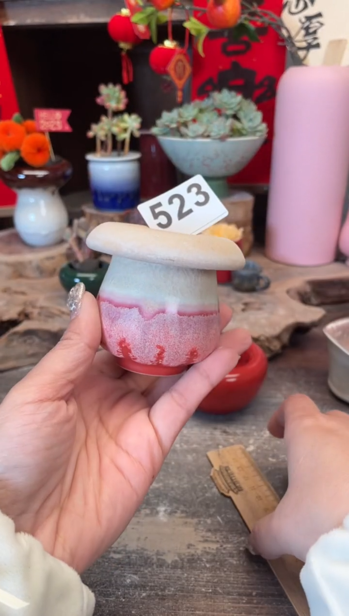 【闪购商品】摆件523知木小芳花盆