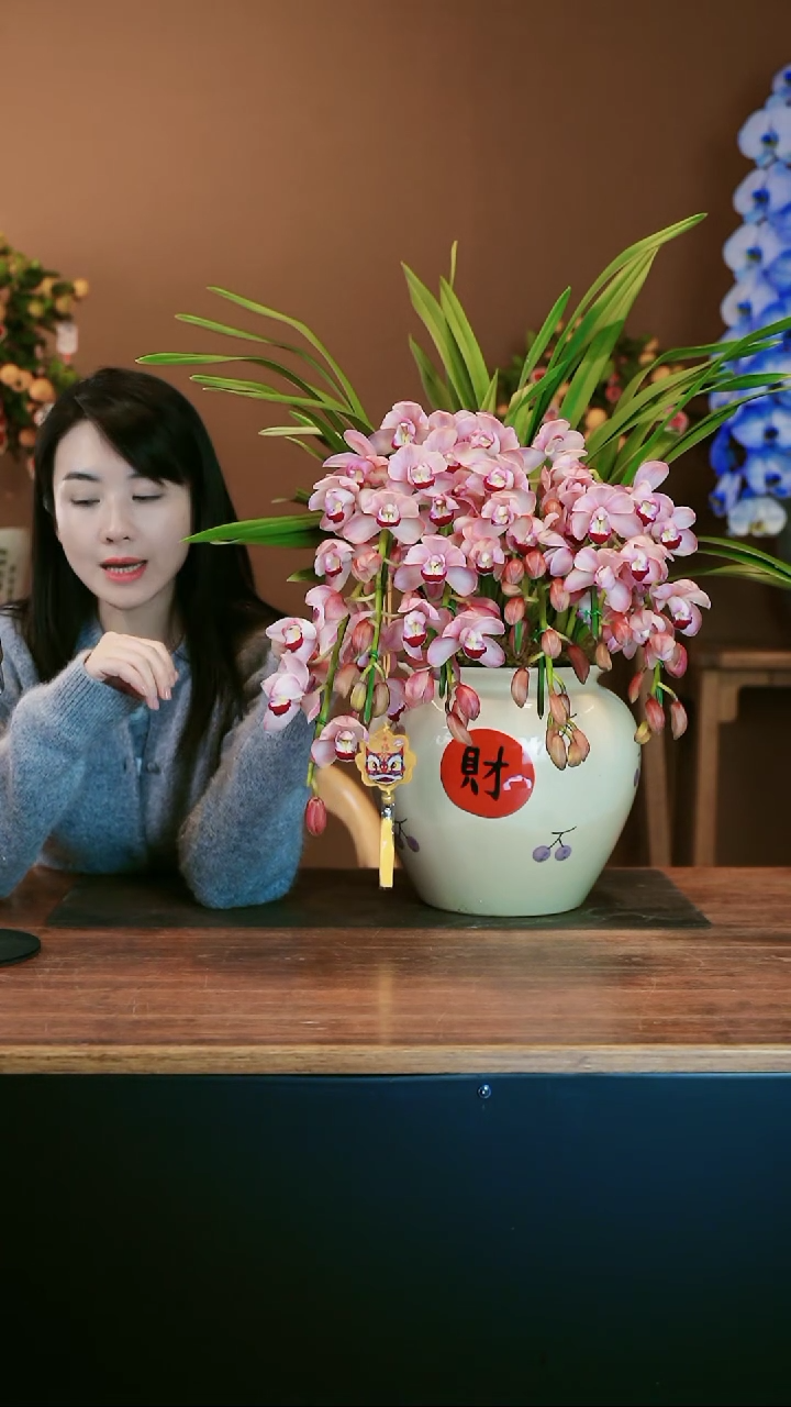 【闪购商品】盆景粉红露露财盆