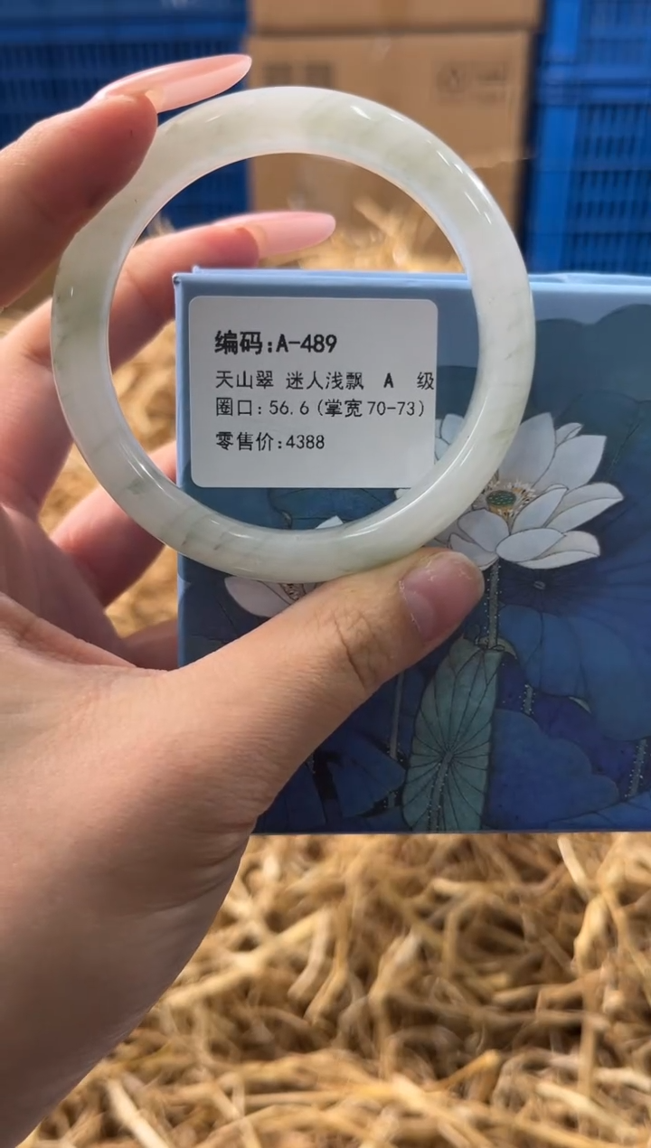 未镶嵌手镯石英质玉A-489