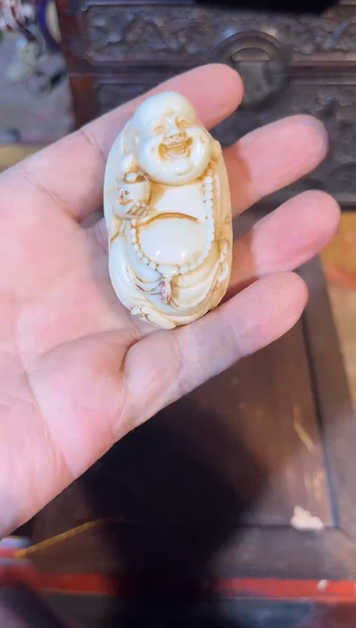 黄杨木111111111111111