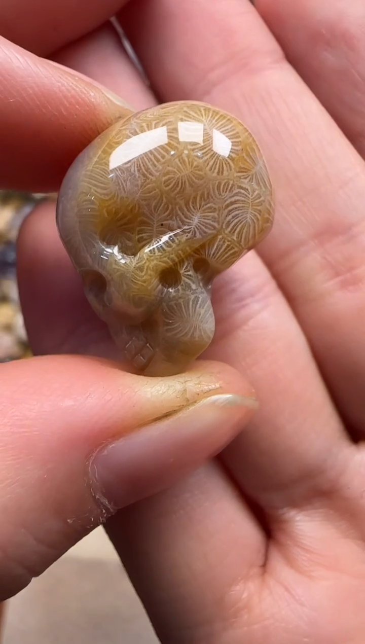 【闪购商品】硅化珊瑚（珊瑚玉）颈饰未镶嵌622