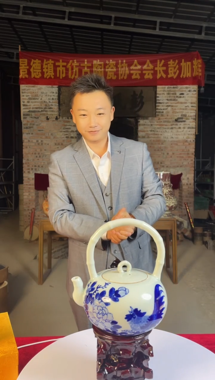 壶陶景德镇陶瓷壶