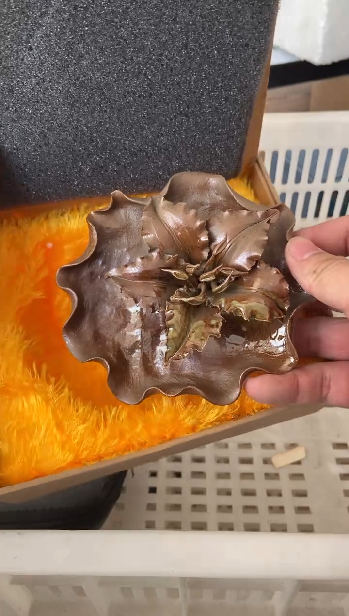 杯无运费险有瑕疵的摄影的产品有使用过的痕迹有点脏介意勿拍