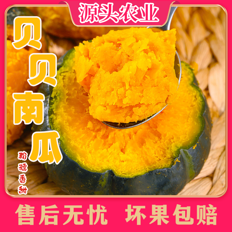 【不粉包赔】贝贝南瓜粉糯细腻香甜宝宝辅食小南瓜4.5斤 Z