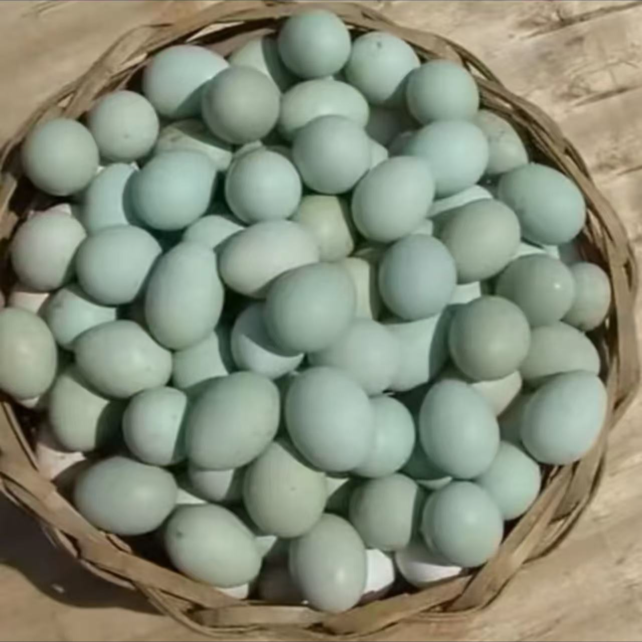 正宗屯子散养乌鸡蛋