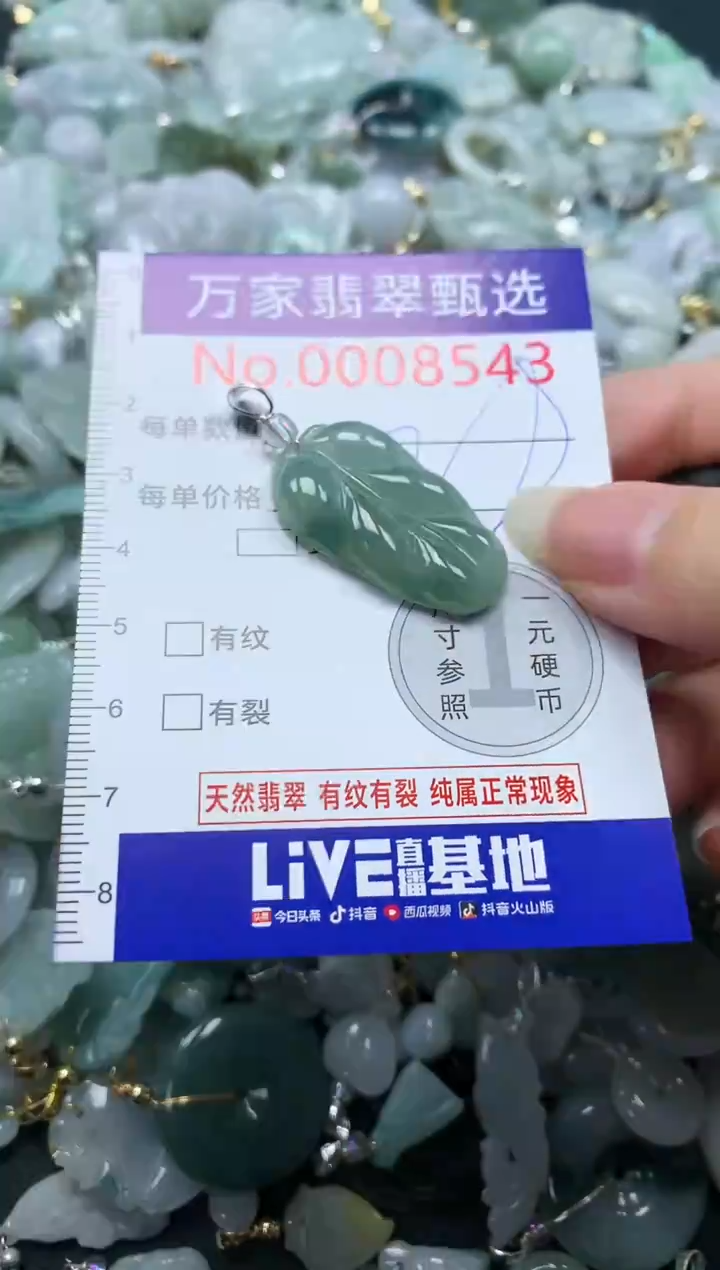 吊坠(不含链)未镶嵌翡翠8543