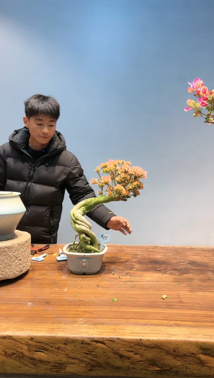 【闪购商品】aa935