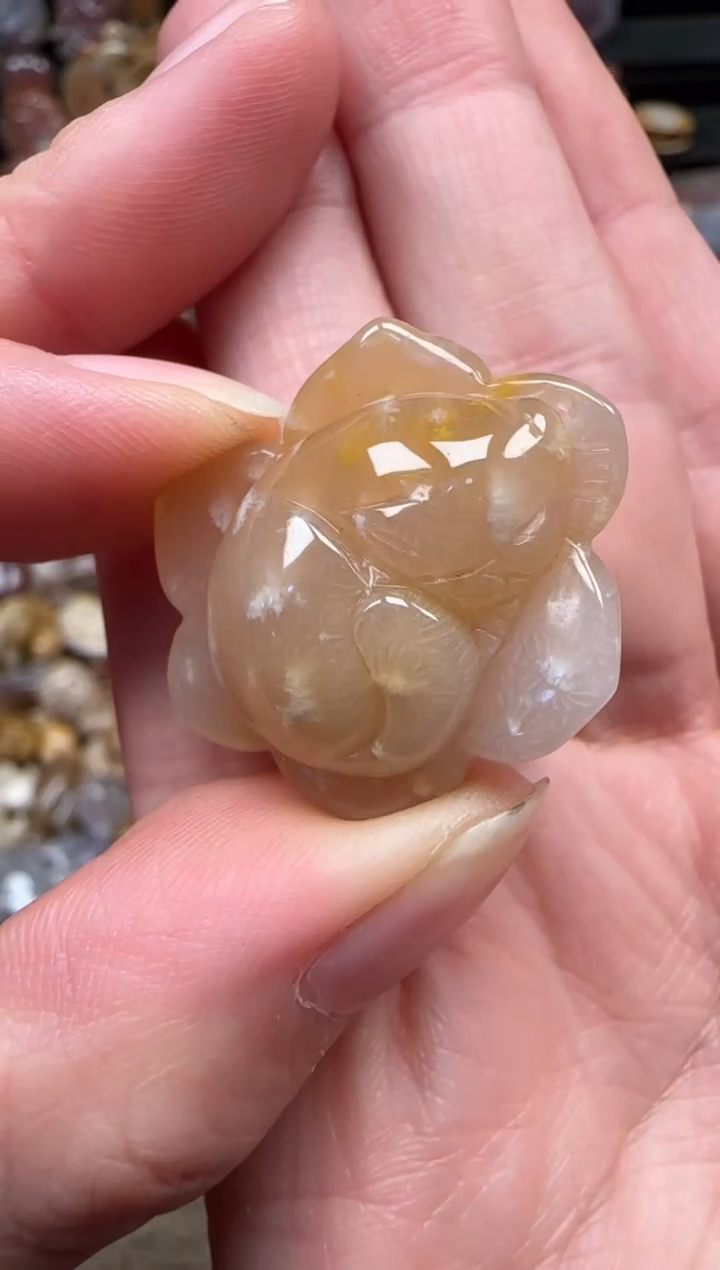 颈饰未镶嵌硅化珊瑚（珊瑚玉）189