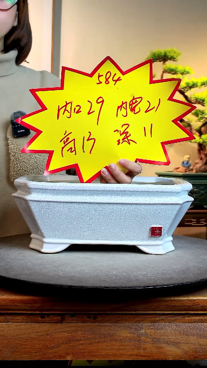 584白色00000000000000000