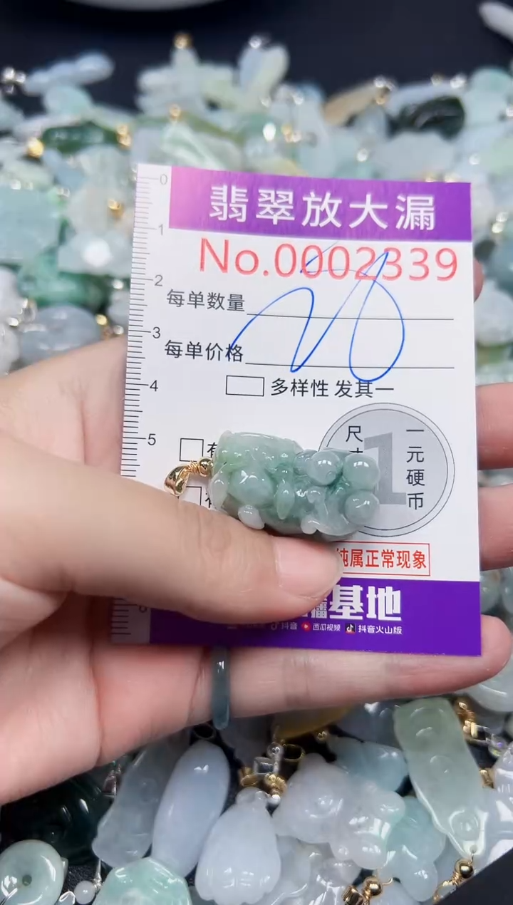 颈饰未镶嵌翡翠2339