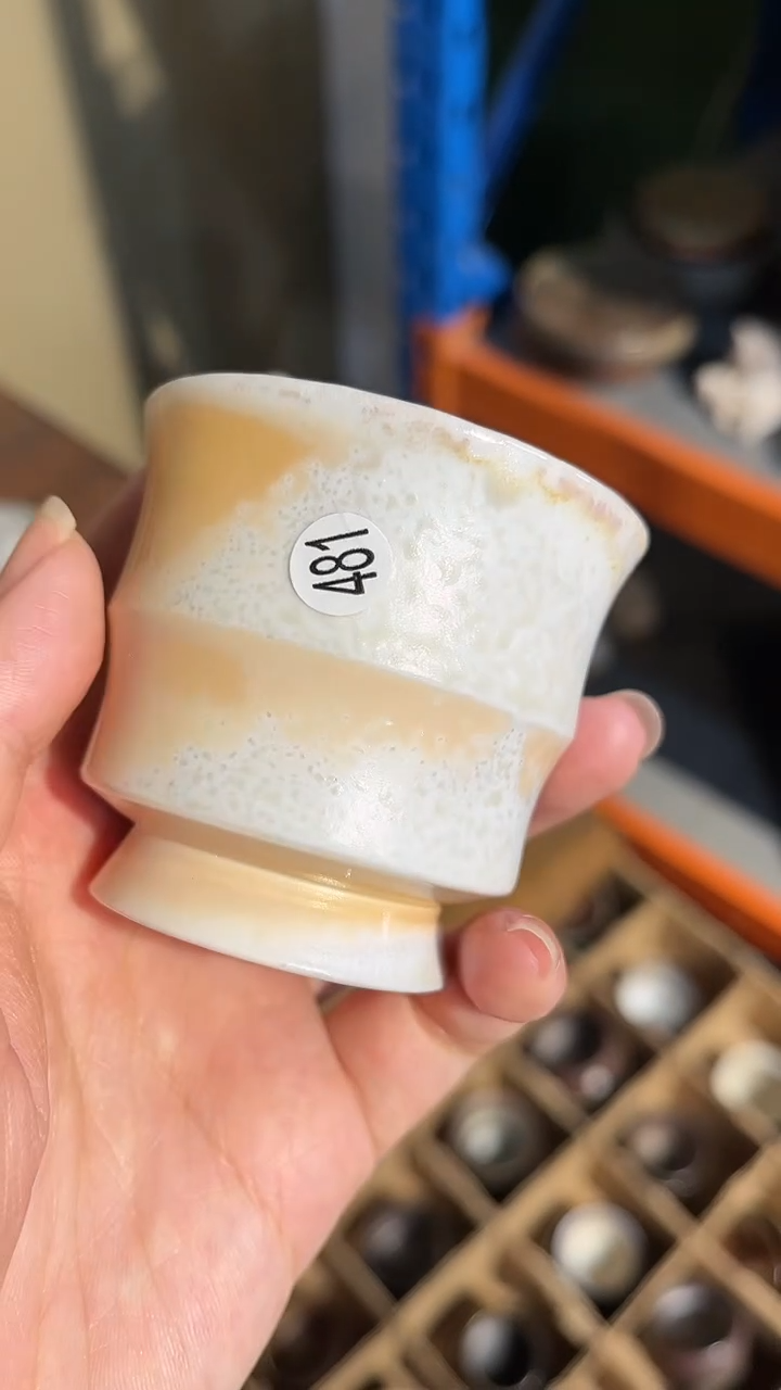 【闪购商品】杯481号容量60-80ML杯