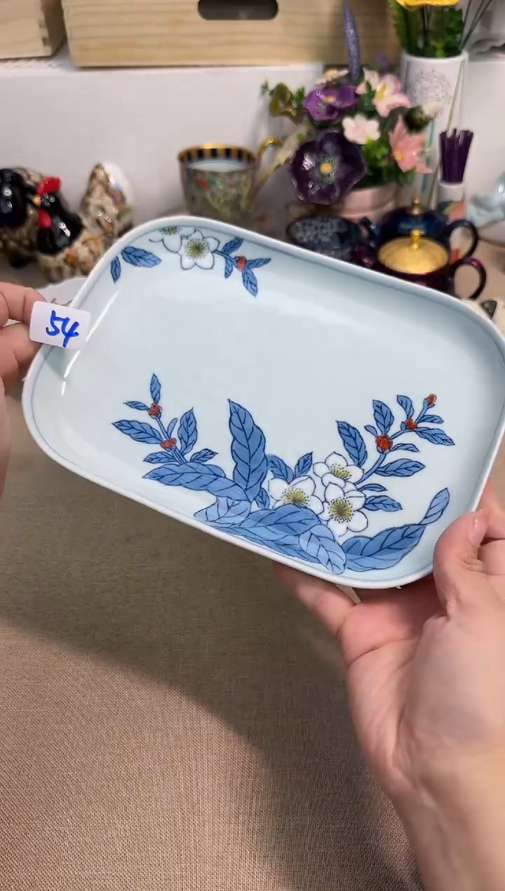 瓷片辰辰家的瓷器真好看