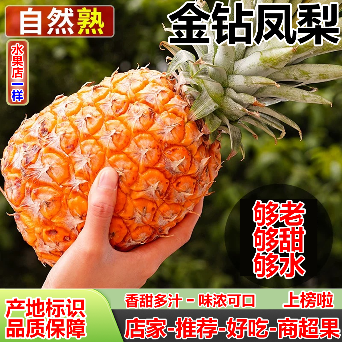 正宗海南金钻凤梨树熟现摘香甜多汁孕妇水果农家自种手撕芒果菠萝