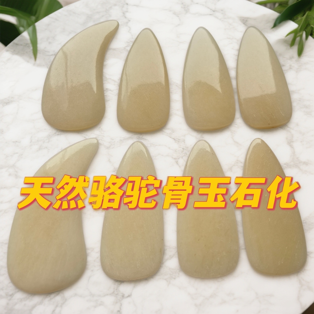 【天然骆驼骨】古筝指甲专业演奏考级双面弧成人通用古筝专用指甲