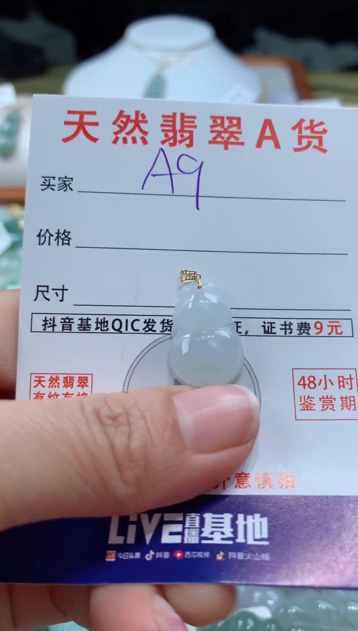 【闪购商品】翡翠颈饰未镶嵌天然A货翡翠挂件