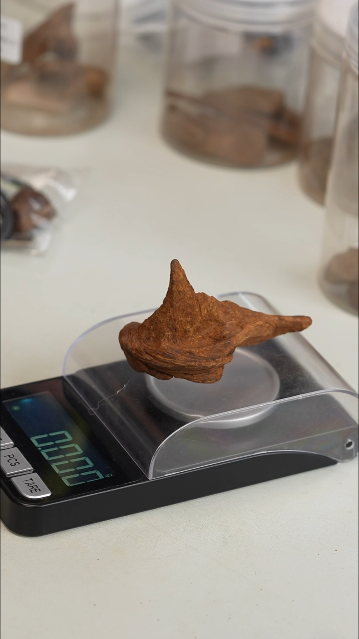 沉香沉香碎屑富森红土沉水15.1克