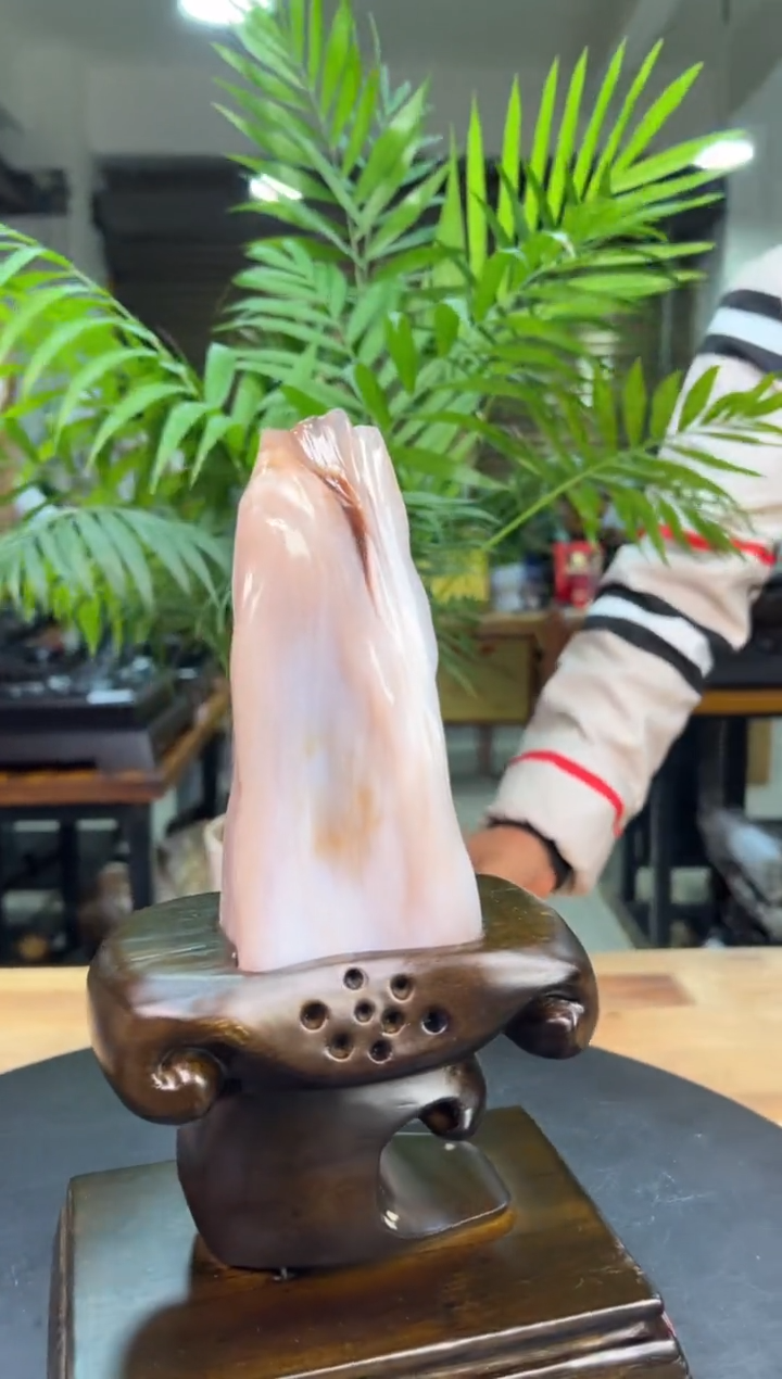 【闪购商品】硅化玉（树化玉）珠宝奇石未镶嵌1552