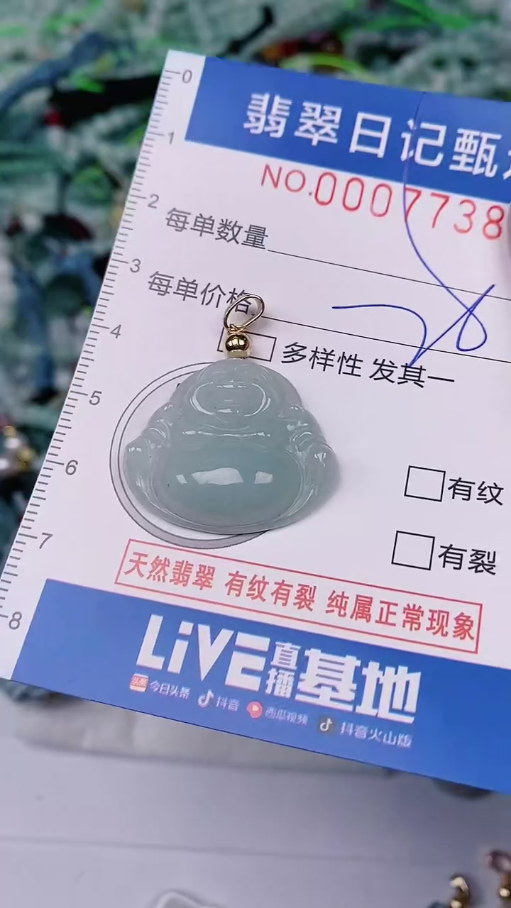 【闪购商品】翡翠颈饰未镶嵌00007738