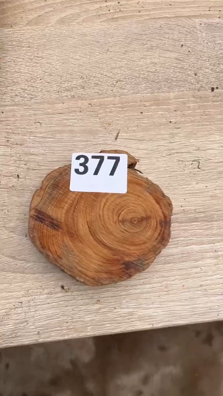 柏木（崖柏）太行崖柏香片