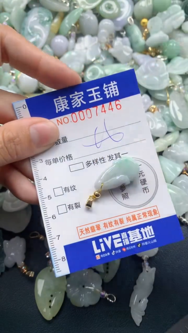 颈饰未镶嵌翡翠7446