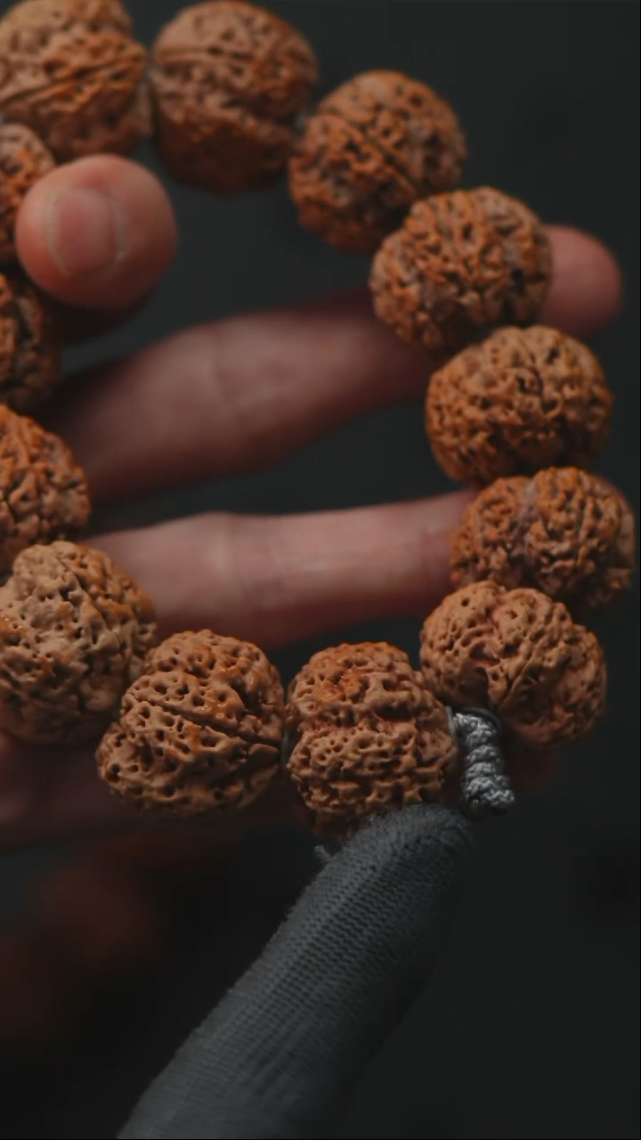 金刚菩提手串龙江推荐原生态超头狠货23-26尺