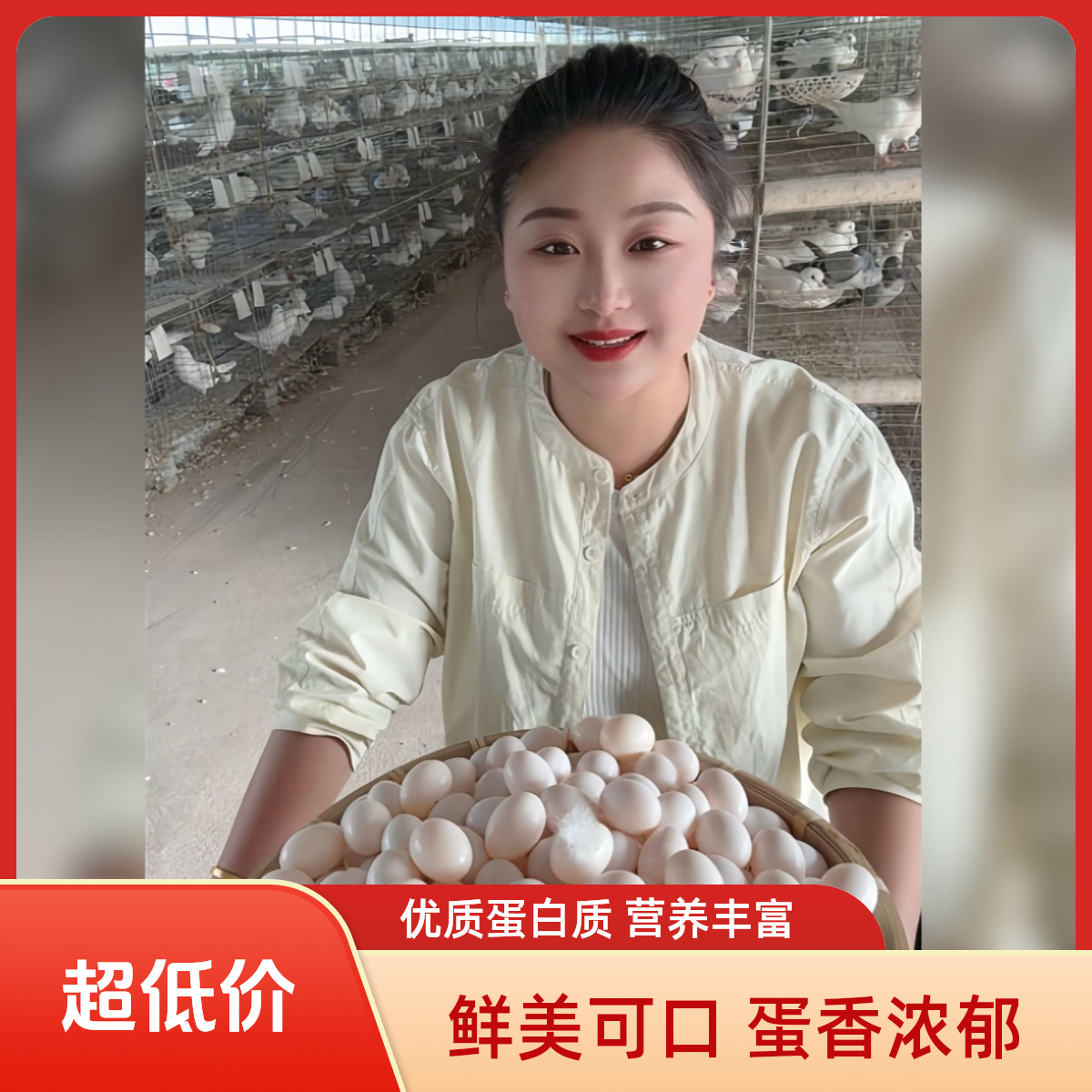 新鲜杂粮鸽子蛋〖18--20克〗宝宝孕妈老人营养品