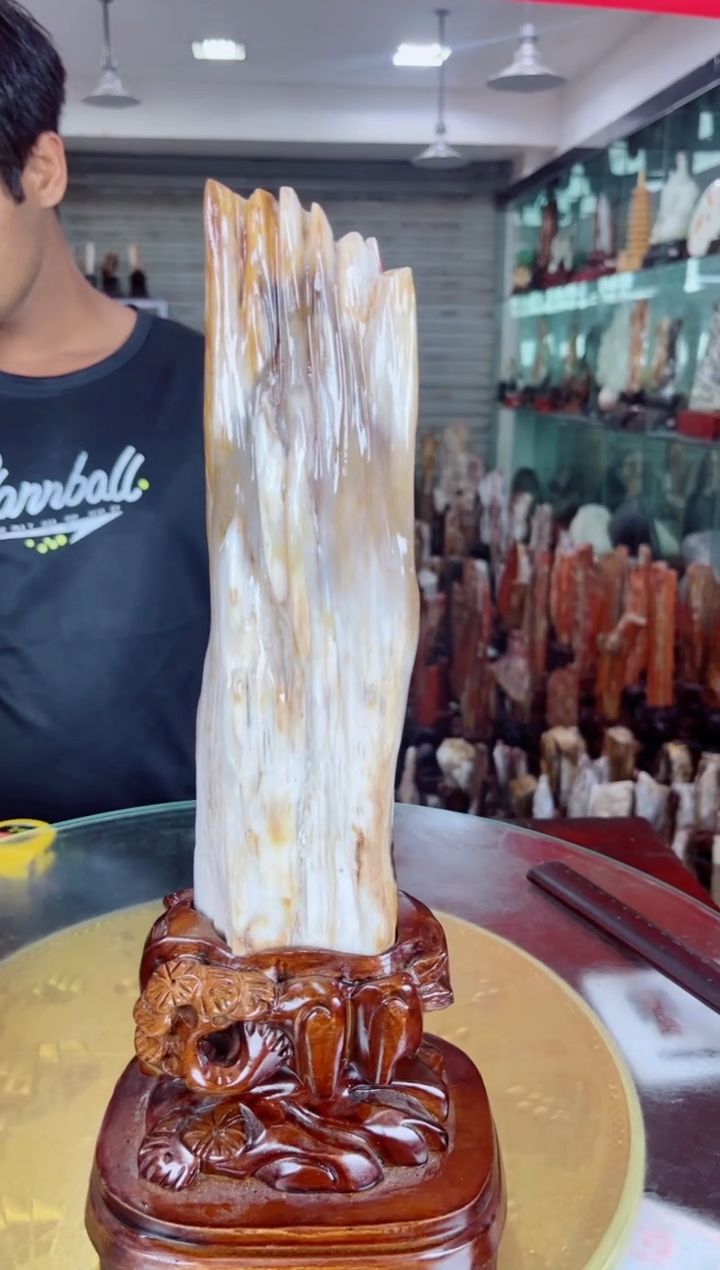 硅化玉珠宝奇石未镶嵌缅甸天然树化玉