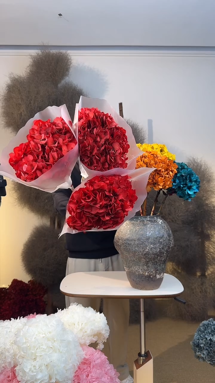 106  山前小麦 · 永生大叶绣球3枝 红